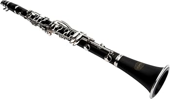 WOODSTONE STANDARD PGP B♭Clarinet Buffet Crampon R13 Mopane Professional Bb Clarinet - Silver